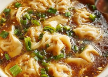 Wonton Soup Recipe