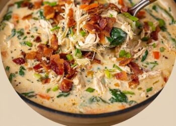 CRACK CHICKEN SOUP