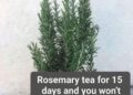 Aloe Vera for Neck Care: A Complete Natural Recipe Guid