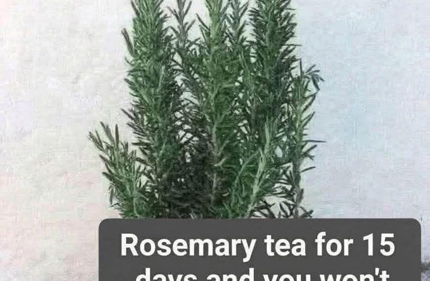 Aloe Vera for Neck Care: A Complete Natural Recipe Guid