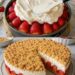 Strawberry Flake Slices 🍰