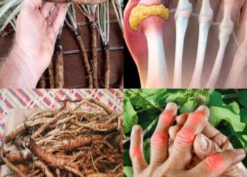 This plant destroys cancer cells! It is 100 times more effective than chemotherapy.