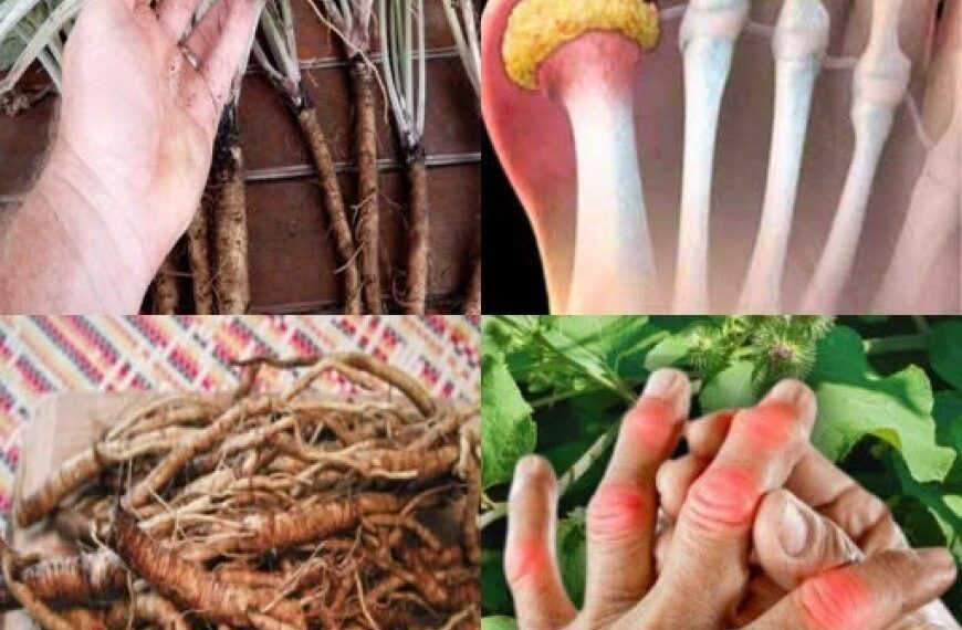 This plant destroys cancer cells! It is 100 times more effective than chemotherapy.