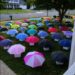 My son gave away his umbrella – what happened next surprised us all.