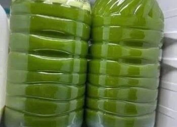 turmeric-ginger-green juice or tonic