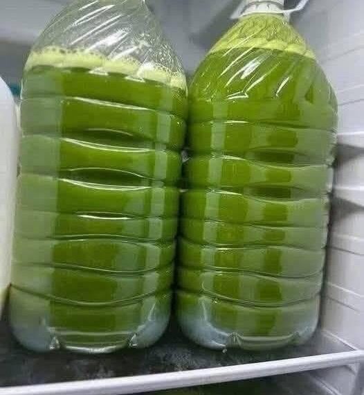 turmeric-ginger-green juice or tonic