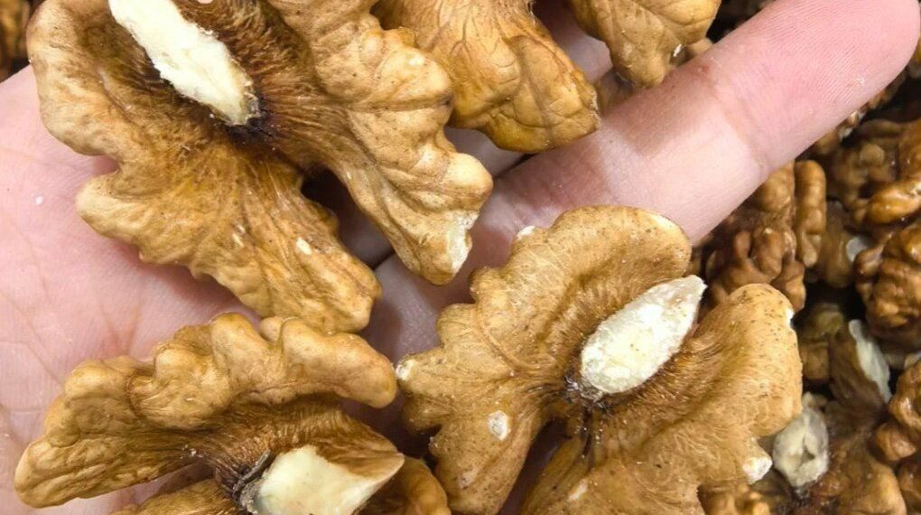 Doctors reveal that eating walnuts causes