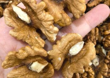 Doctors reveal that eating walnuts causes