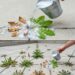 Natural and effective homemade weed control