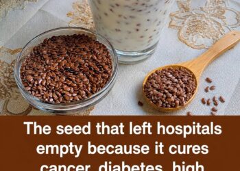 Flaxseeds: The Tiny Superfood That May Support Heart Health, Digestion, and Everyday Wellness