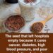 Flaxseeds: The Tiny Superfood That May Support Heart Health, Digestion, and Everyday Wellness