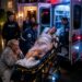 Part 2: My Pregnant Daughter Was Found Bl**ding at a Frozen Bus Stop—Then Her Rich Husband Learned Who Her Mother Used to Be M1