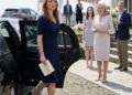 She Returned To The Family That Abandoned Her In A Limousine-myhoa