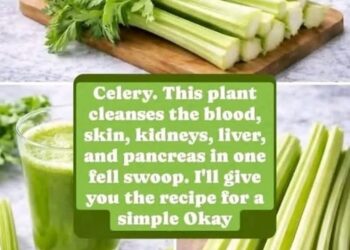 Cleanses the Liver 150 Times More Powerful Than Garlic and Lemon: Grandma’s Miracle Recipe