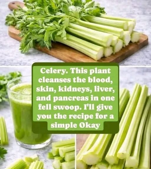 Cleanses the Liver 150 Times More Powerful Than Garlic and Lemon: Grandma’s Miracle Recipe