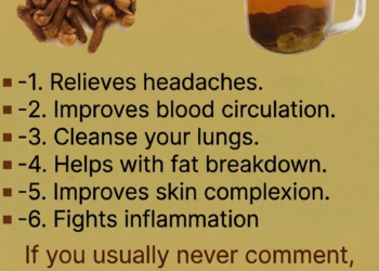 Clove tea: Benefits, recipes and precautions