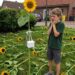 The Last Sunflower