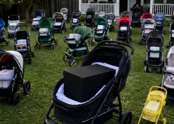 After Losing My Newborn Son, I Gave Everything I’d Bought Him to a Mother Begging with Her Baby – The Next Morning, My Lawn Was Covered with Dozens of Baby Strollers, Each Holding a Sealed Box