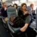 A Woman Refused to Leave the Airplane Seat I Had Paid For – What My 10-Year-Old Daughter Pulled Out of Her Backpack Left Every Passenger Speechless
