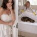 That night, my mother-in-law hid a rattlesnake under my pillow after discovering my $25 million life insurance policy. She smiled at me and said, “Go get some rest, I made your bed.” I didn’t argue.