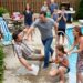 A Poolside Lie Collapsed When the Child’s Phone Videos Played